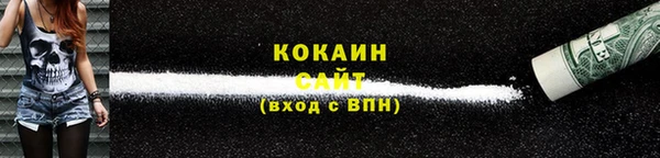 дживик Михайловск