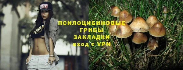 соль курить ск Медногорск