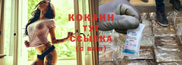 дживик Михайловск
