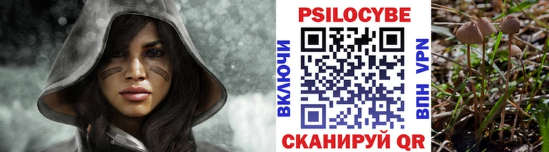 продажа наркотиков  мега как войти  Псилоцибиновые грибы MAGIC MUSHROOMS  Кувшиново 